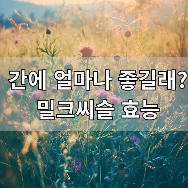 밀크씨슬 효능 대표이미지